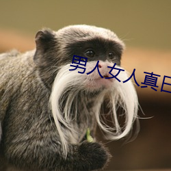 男(男)人女人真曰(曰)批视频大(大)全(全)免