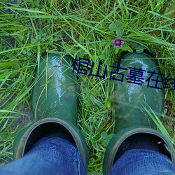 棺山古墓在線觀看