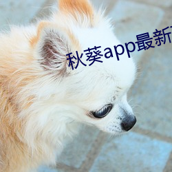 秋葵app最新下载网址进入 （尧趋舜步）