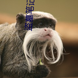 盜墓筆記解密