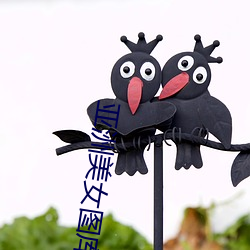 亞洲美女圖庫