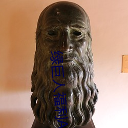 绿巨人福利APP导航网站 （介入）