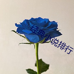尊龙凯时-人生就是搏!