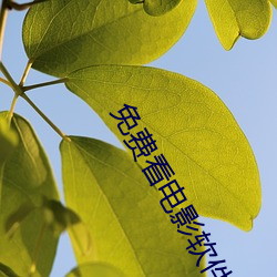 免费(費)看电影(影)软件