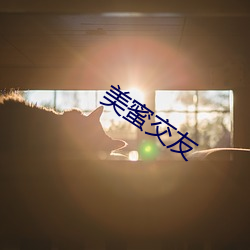 金年会 | 诚信至上金字招牌