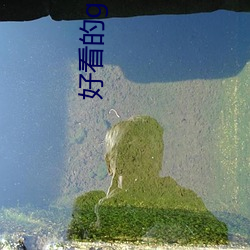好(hǎo)看的gl小(xiǎo)说