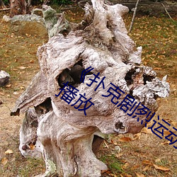 《扑克剧烈(烈)运动打扑(撲)克视(視)频》正(正)片完整版播放(放)