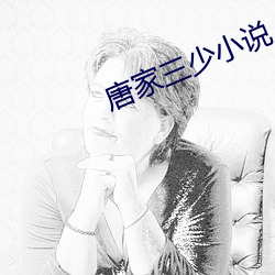 唐家三少小說