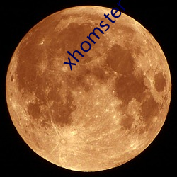 xhomster