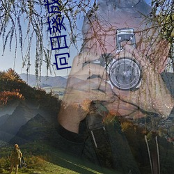 向日葵成人