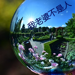 我老婆不是人