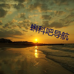蝌科(kē)吧导航(háng)