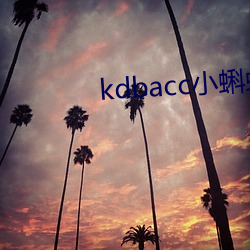 kdbacc小蝌蚪小橙子