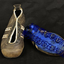 《青青草原综合久久大伊人精品》电影完整版在线(xiàn)观(guān)看(kàn)