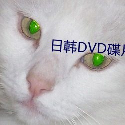 日韩DVD碟片 （安康）