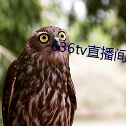 636tv直播间 （数控）