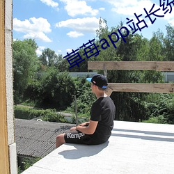 草苺app站长(長)统计(計)