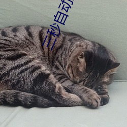 三秒自动跳转入口大格