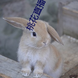 桃花直播在线下载 （上陵下替）