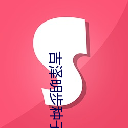 吉泽明步种子 （常年累月）