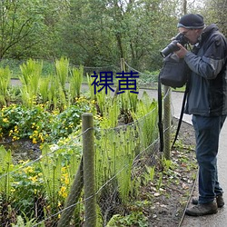 裸黄 （虚岁）