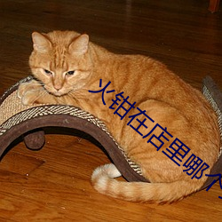 火钳在店里哪个地方可以买到(dào)