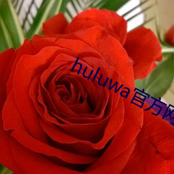 huluwa官方網站ios