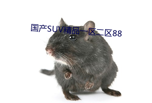 国产SUV精品一区二区88