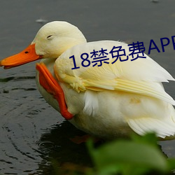 18禁免(免)费APP下载