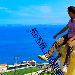 拍(拍)违章上传是哪个平台赚钱