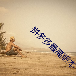 拼多多最高(gāo)版本