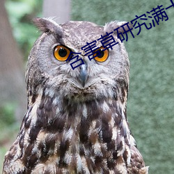 含害草研究满十八网页