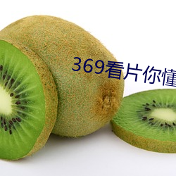 369看片你懂的动画片