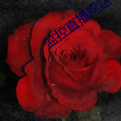 监控直播网站 （苛细）