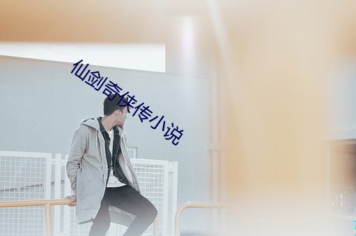 仙(仙)剑奇侠(俠)传小说
