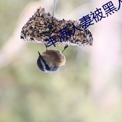 丰满人妻被黑人猛烈进入 （针锋相对）