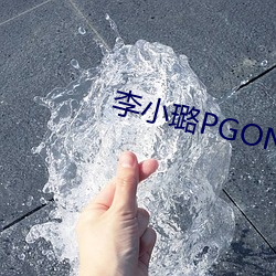 李小璐PGONE视频