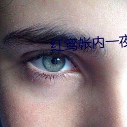 红鸾帐内一夜承欢