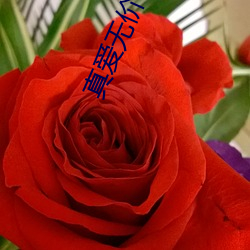 真(zhēn)爱无价(jià)电视(shì)剧