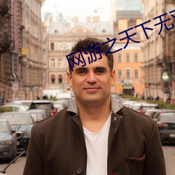 网游(遊)之天(天)下无双小说