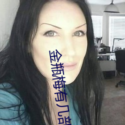 金瓶梅有几部 （帮工）
