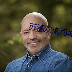 苏清欢南司城免费阅读全文 （一目十行）