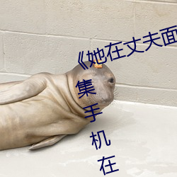 《她在丈夫面前被人耍了》电影全集手机在线播放