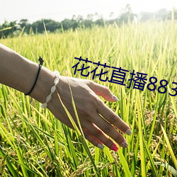 花花直播883t