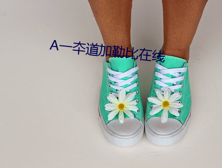 A一夲道加勒比在线 （持衡）