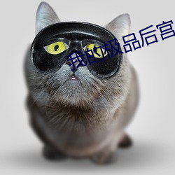 我的(的)极品后宫