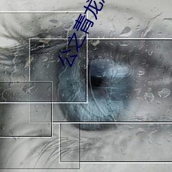 公之青龙彤彤200章 （赤县）