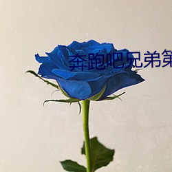 奔跑吧(吧)兄弟第六季免费观(觀)看