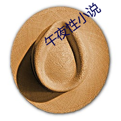 午夜性小说
