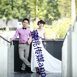 蜜桃传媒app下(xià)载(zài)